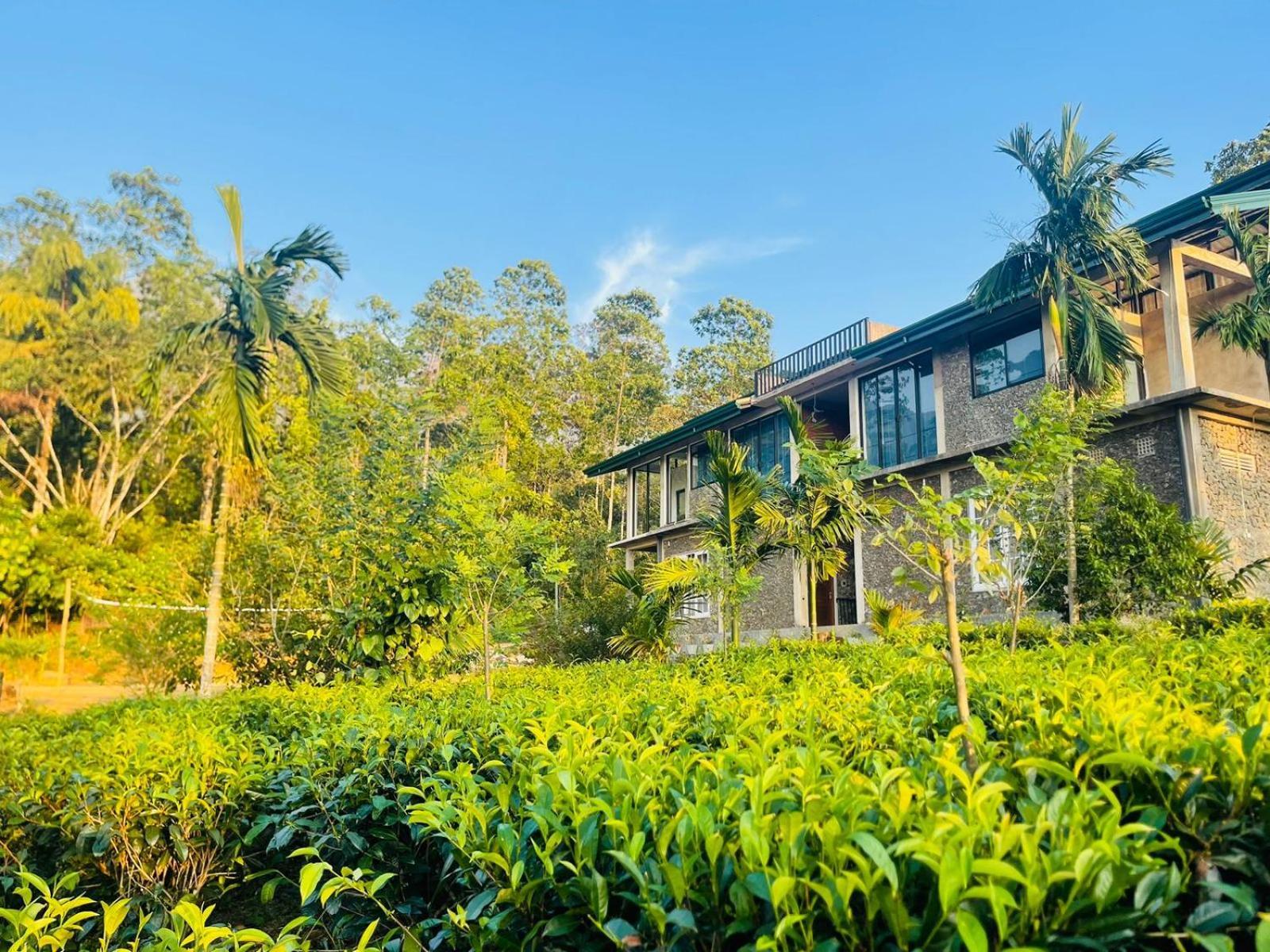 Palabaddala Tea And Eco Lodge Ratnapura Exterior foto
