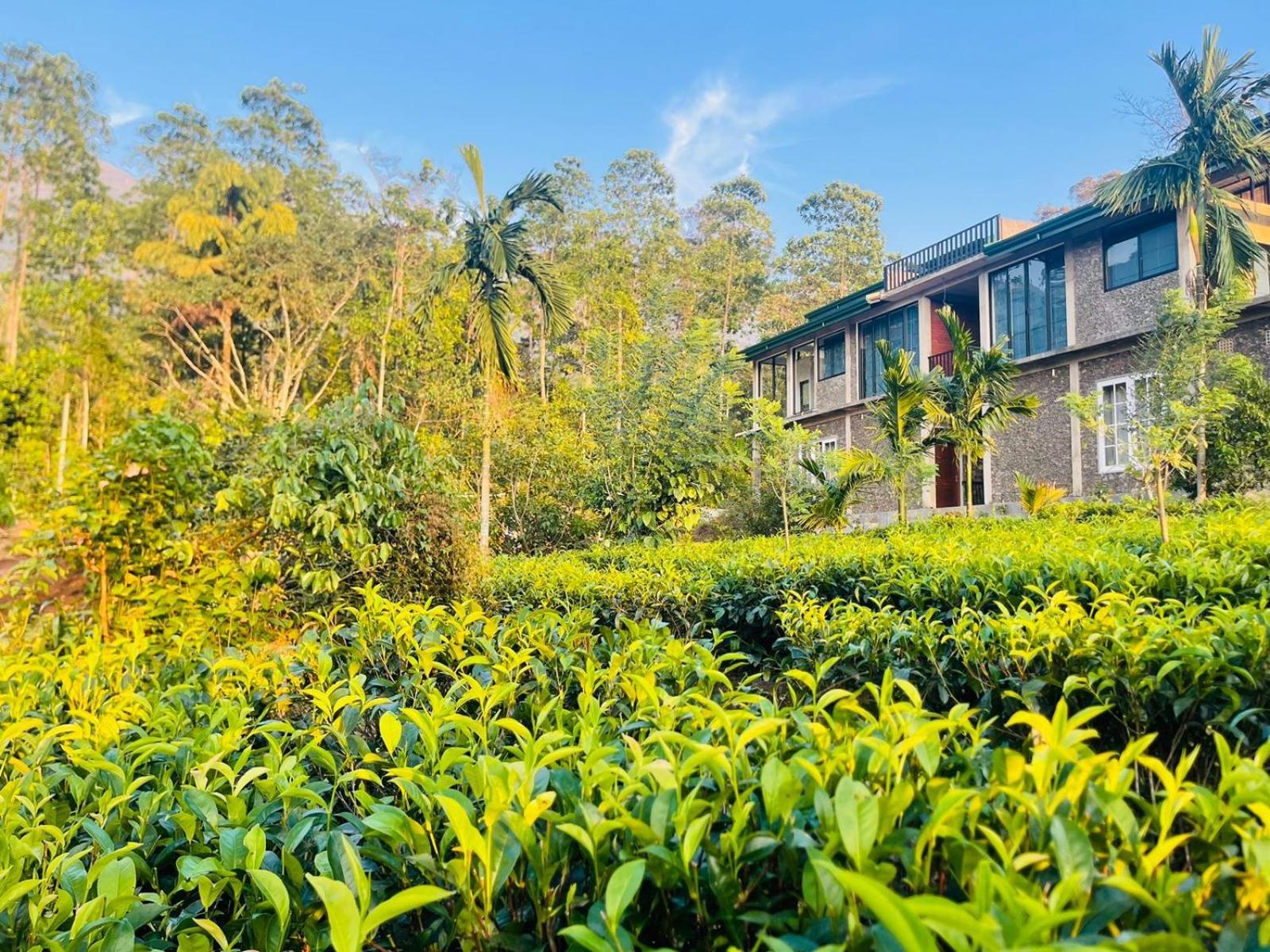 Palabaddala Tea And Eco Lodge Ratnapura Exterior foto